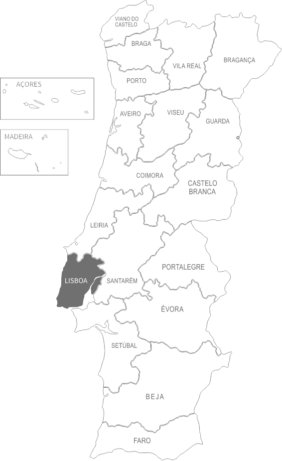 mapa Apoios Frutas Patrícia Pilar