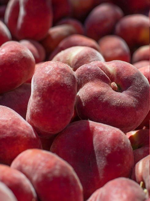 Verdimparável Pêssegos Frutas Patricia Pilar